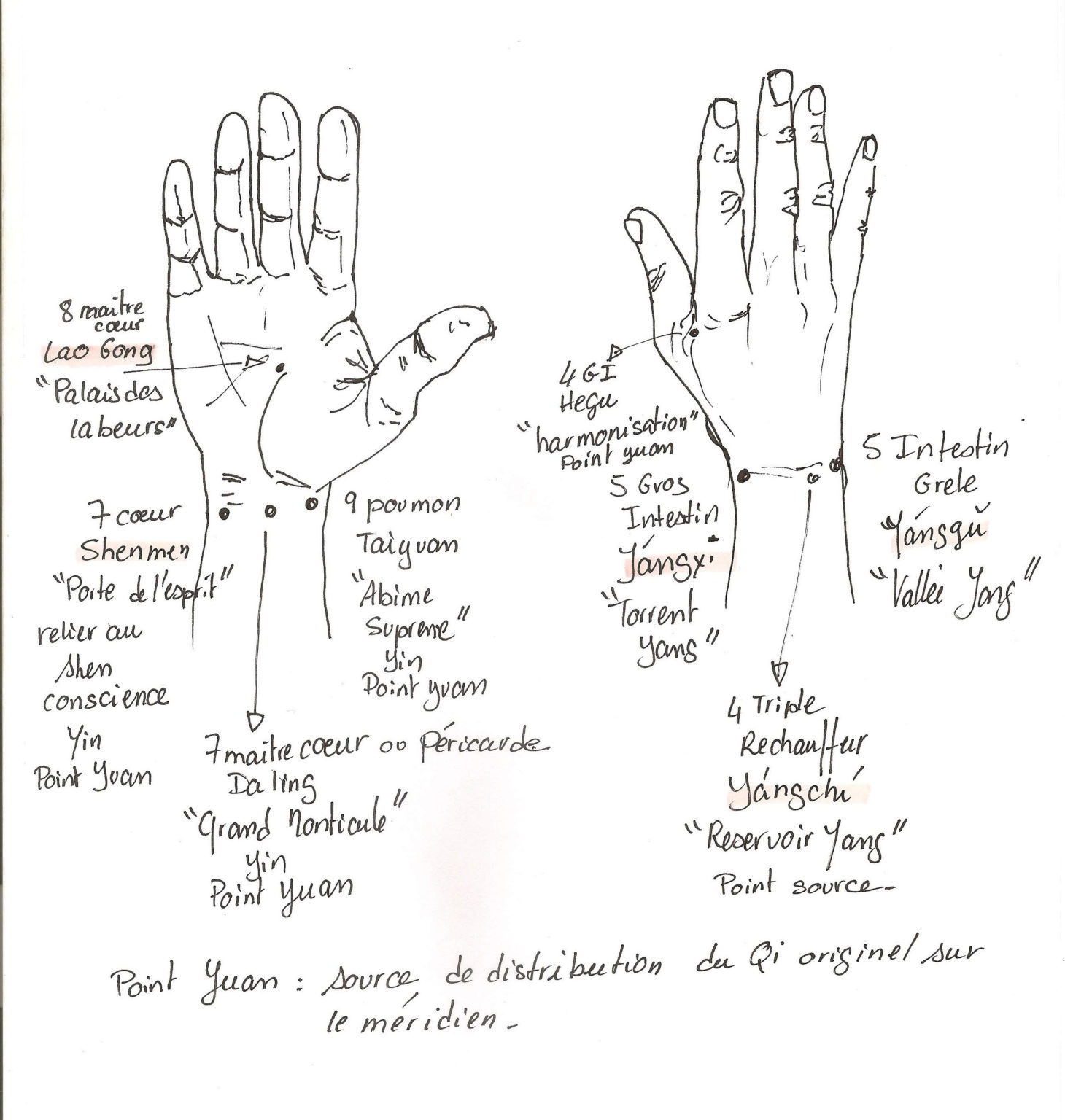 les-points-nerg-tiques-dans-les-pieds-et-les-mains