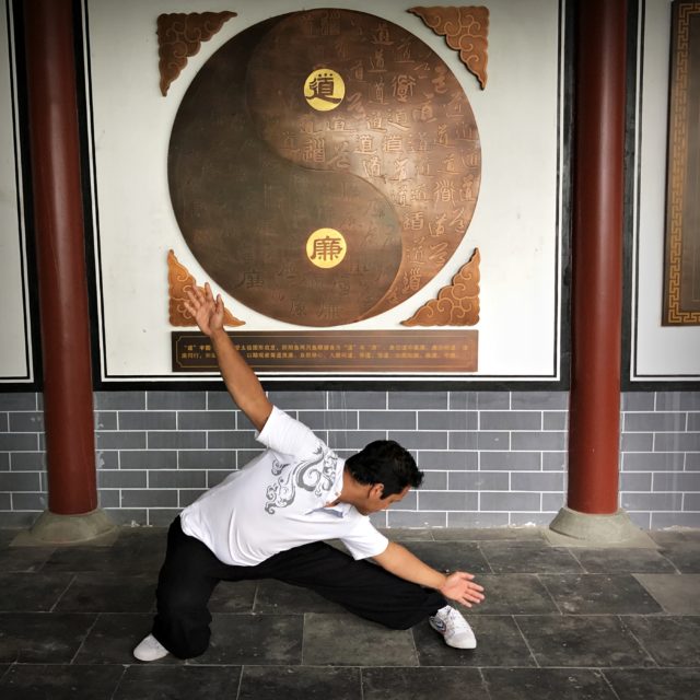 Photos et vidèos de Wushu 69. Travail du Ba Gua Zhang