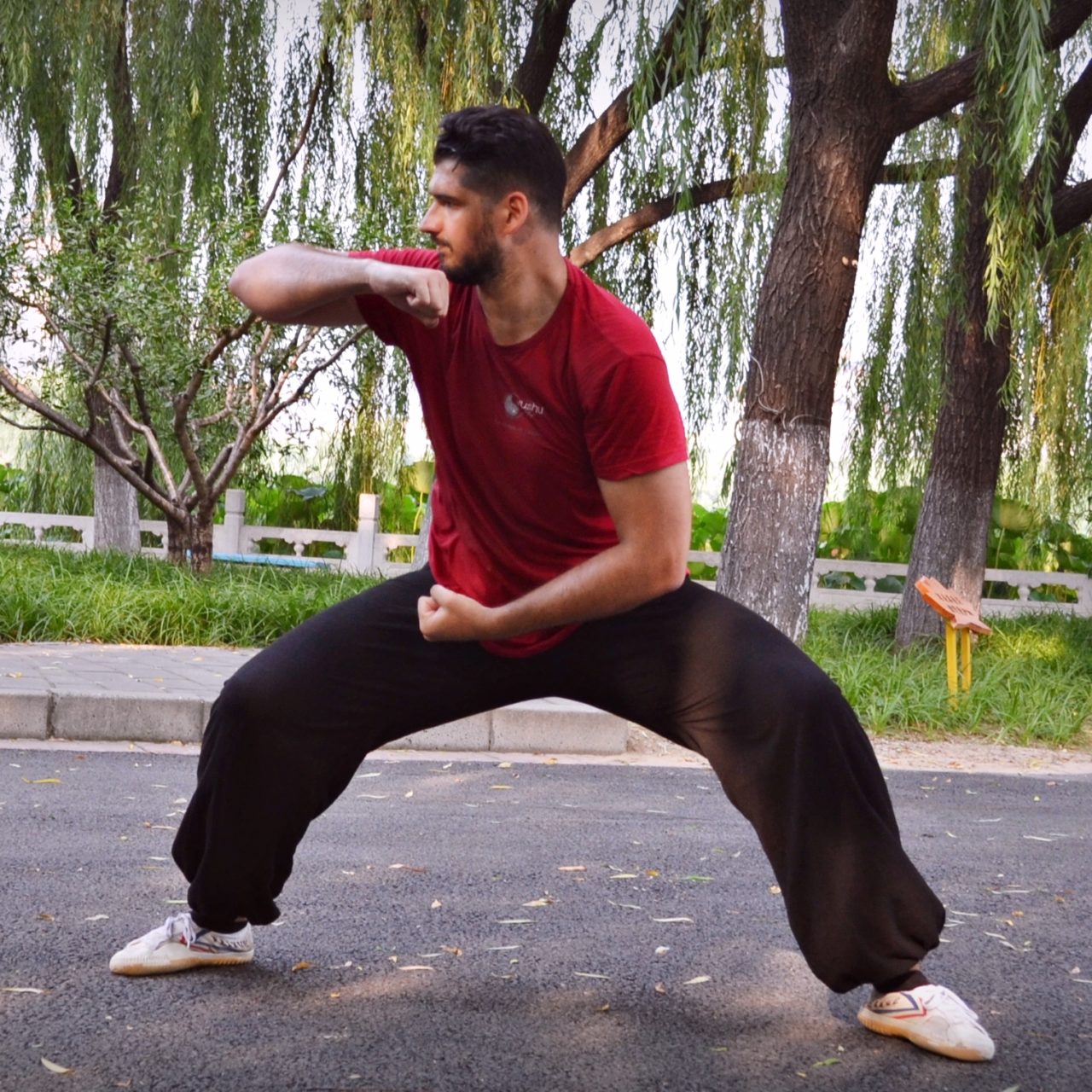 Kung Fu à Chaponost au club Wushu 69