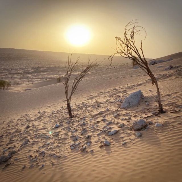 Couché de soleil dans le désert du sud Tunisien