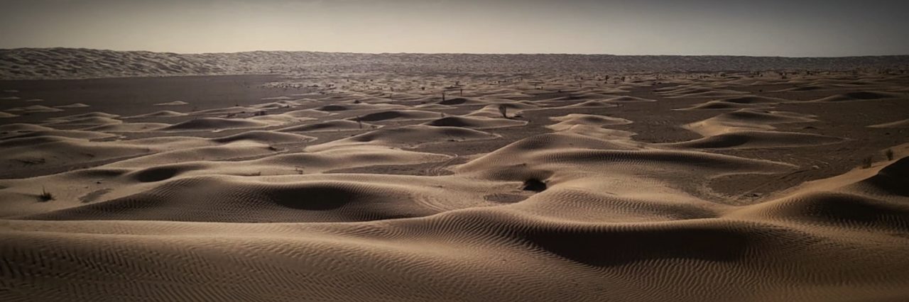 Désert de dune dans le sud Tunisien.