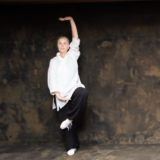 Forme Taiyi Wuxing Quan de Wudang