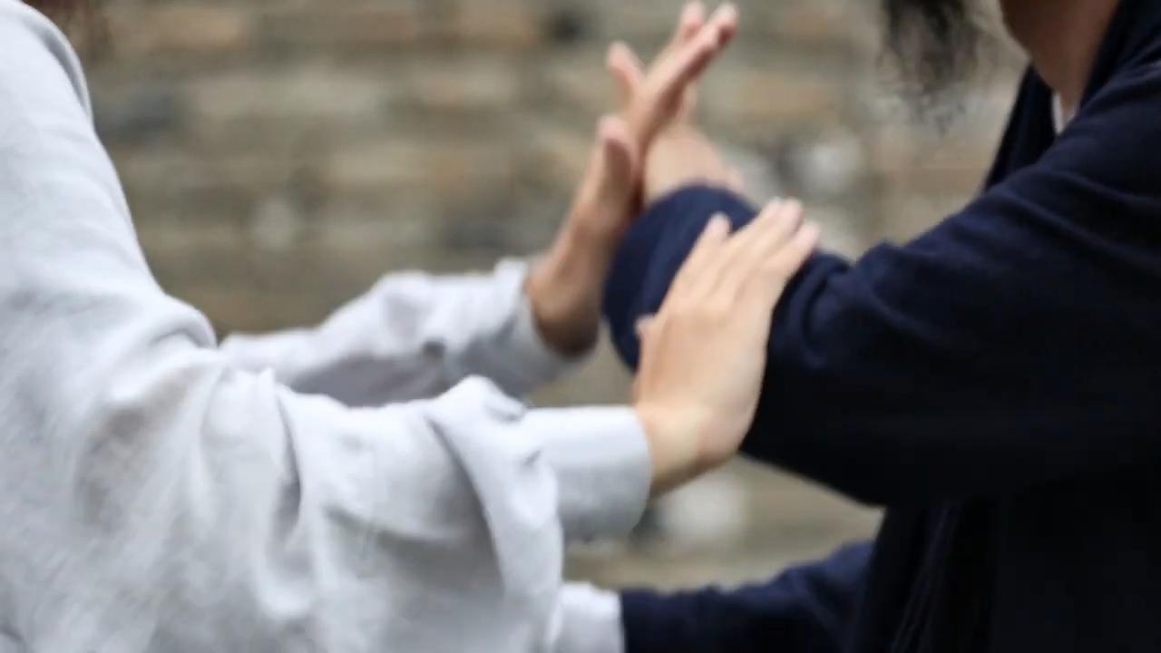 Stage de Tui Sou organisé au Cercle Wushu 69